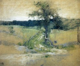 Baum von einer Straße Baum von einer Straße