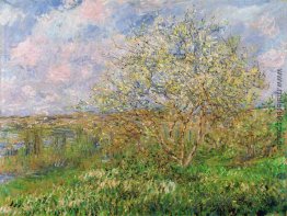 Springtime Springtime