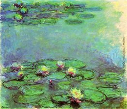 Wasserlilien Wasserlilien