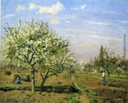 Obstgarten in der Blüte, Louveciennes Obstgarten in der Blüte, Louveciennes