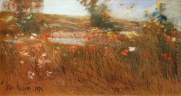 Poppies, Isles of Shoals Poppies, Isles of Shoals