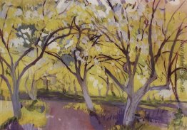 Obstgarten in der Blüte. Neskuchnoye Obstgarten in der Blüte. Neskuchnoye