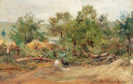 Truthähne in Vlaici Truthähne in Vlaici