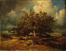 The Old Oak The Old Oak