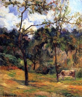 Landschaft in der Normandie: Kuh auf einer Wiese Landschaft in der Normandie: Kuh auf einer Wiese