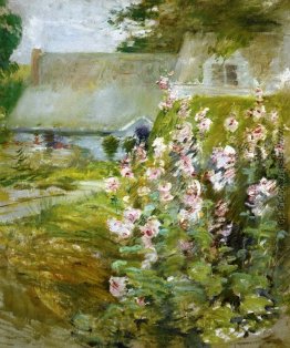 Stockrosen Stockrosen