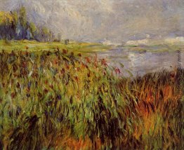 Rohrkolben auf die Ufer der Seine Rohrkolben auf die Ufer der Seine