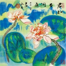 Lotus Lotus