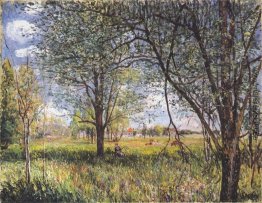 Weiden in einem Feld am Nachmittag Weiden in einem Feld am Nachmittag