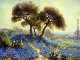 Ein Frühlingsmorgen Ein Frühlingsmorgen