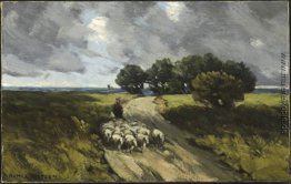 Herding Sheep Herding Sheep