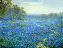 Bluebonnet-Szene Bluebonnet-Szene