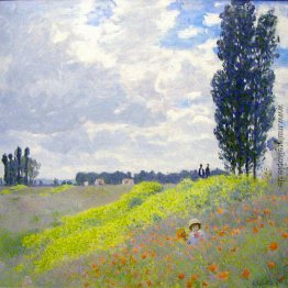 Wandeln Sie auf den Wiesen bei Argenteuil Wandeln Sie auf den Wiesen bei Argenteuil