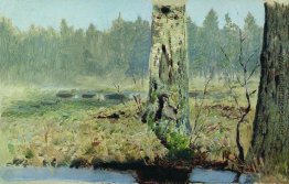 Baumstämme Baumstämme