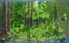 Wald Wald