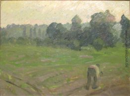 Das Feld Das Feld