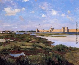 Landschaft von Aigues-Mortes Landschaft von Aigues-Mortes