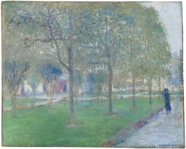 Un Paseo en el Parque Un Paseo en el Parque