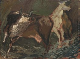 Animali nella notte Animali nella notte