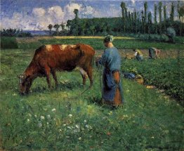 Mädchen Tending eine Kuh in der Weide Mädchen Tending eine Kuh in der Weide