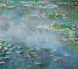 Wasserlilien Wasserlilien