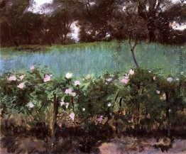 Landschaft mit Rosen-Gitter Landschaft mit Rosen-Gitter