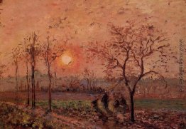 Sonnenuntergang Sonnenuntergang