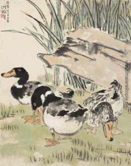 Three Ducks Three Ducks