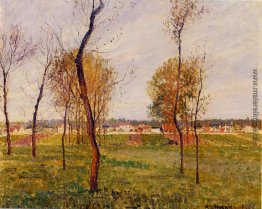 Eine Wiese im Moret Eine Wiese im Moret