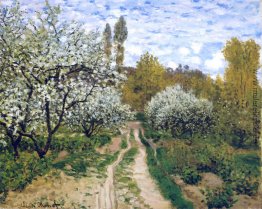 Bäume in der Blüte Bäume in der Blüte