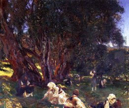 Albanisch Olive Pickers Albanisch Olive Pickers