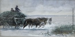 Reed Ernte Reed Ernte