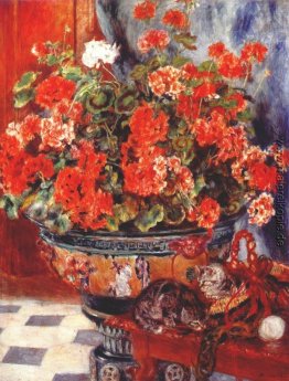 Pelargonien und Katzen Pelargonien und Katzen