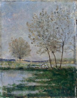 Schwemmten Wiesen Schwemmten Wiesen