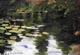 Yerres, auf dem Teich, Seerosen Yerres, auf dem Teich, Seerosen