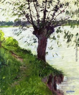 Willow auf die Ufer der Seine Willow auf die Ufer der Seine