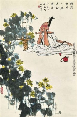 Bewundern die Chrysanthemen Bewundern die Chrysanthemen