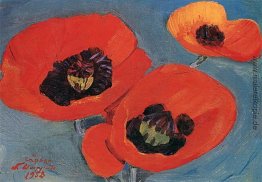 Poppies Poppies