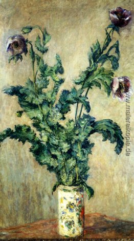 Lila Mohnblumen Lila Mohnblumen