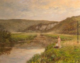 A Misty Morning A Misty Morning