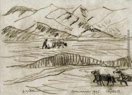 Shirak Shirak