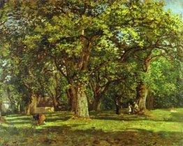 Der Wald Der Wald