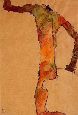 Male Nude Male Nude