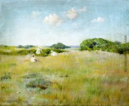 A Summer Day A Summer Day