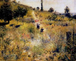 Weg durch hohes Gras Weg durch hohes Gras