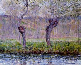 Weiden im Frühjahr Weiden im Frühjahr