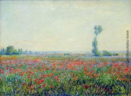 Mohnblumen-Feld Mohnblumen-Feld