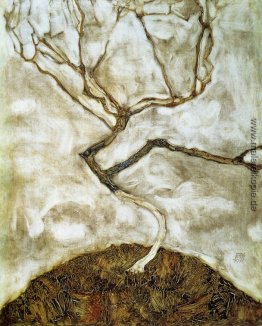 Ein Baum im Spätherbst Ein Baum im Spätherbst