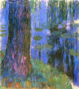 Weeping Willow und Seerosenteich Weeping Willow und Seerosenteich