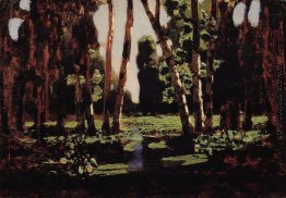 Ein Birkenhain Ein Birkenhain